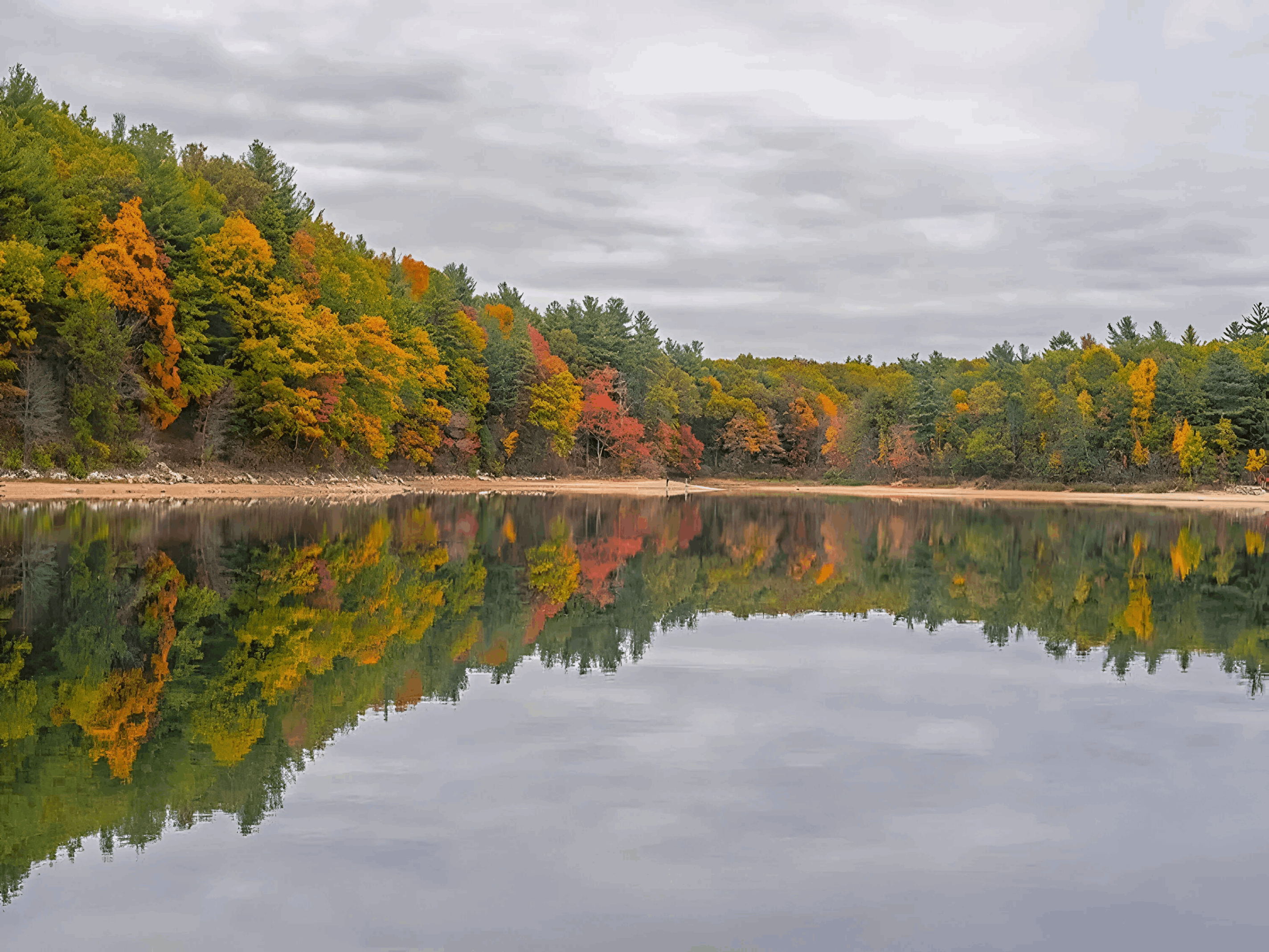 a lake during fall season